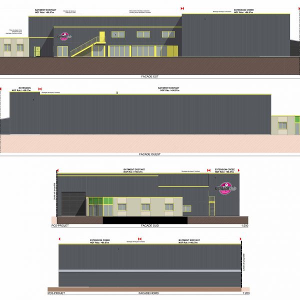 central-squash-02 central-squash-02